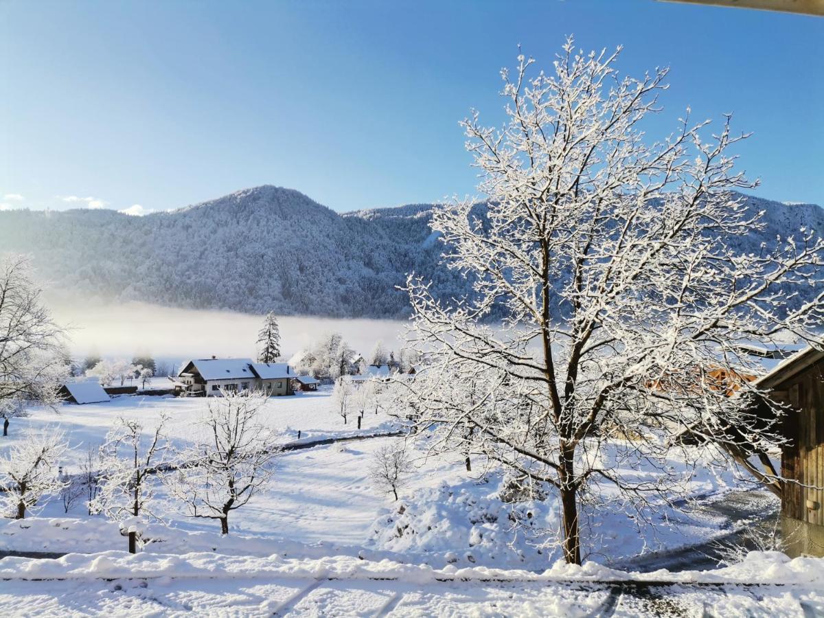 Tourist Farm Mulej Villa Bled Eksteriør billede