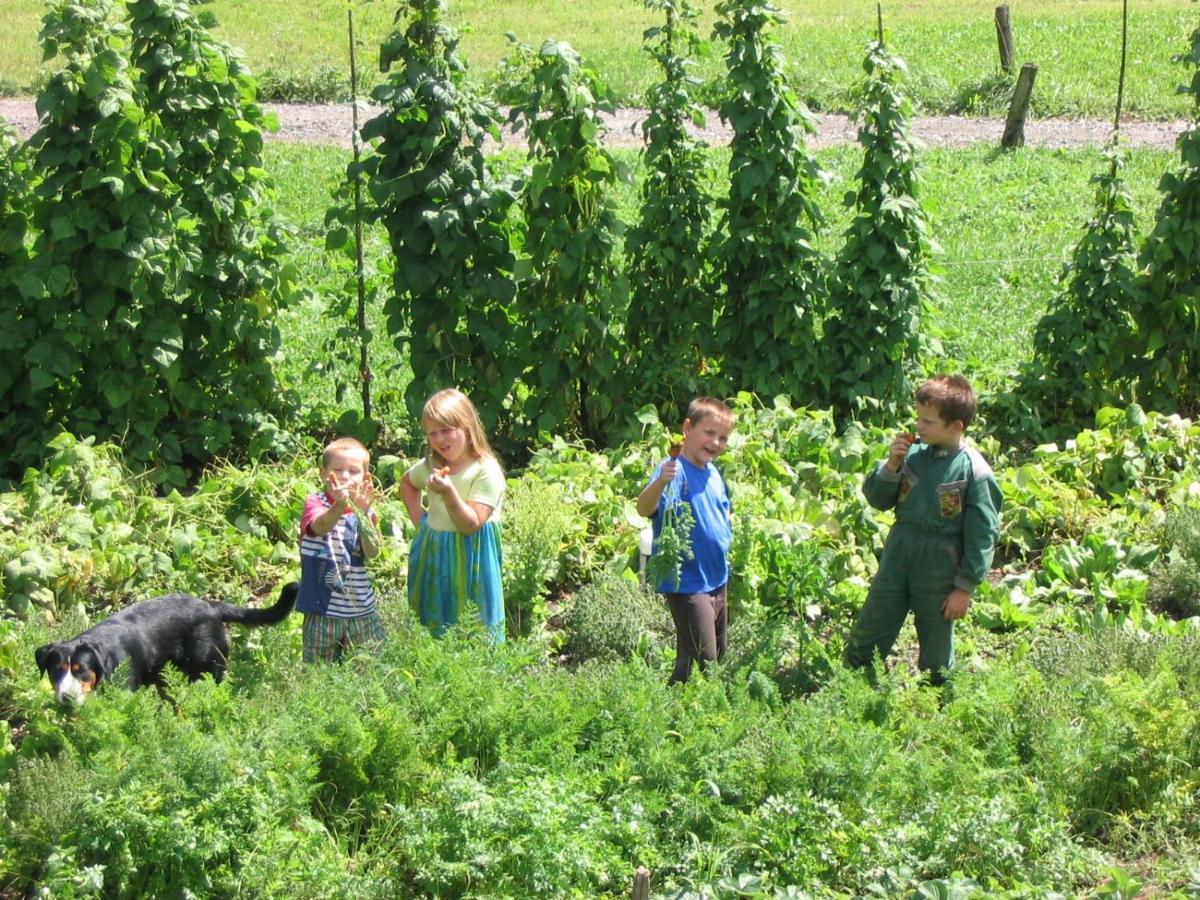 Tourist Farm Mulej Villa Bled Eksteriør billede